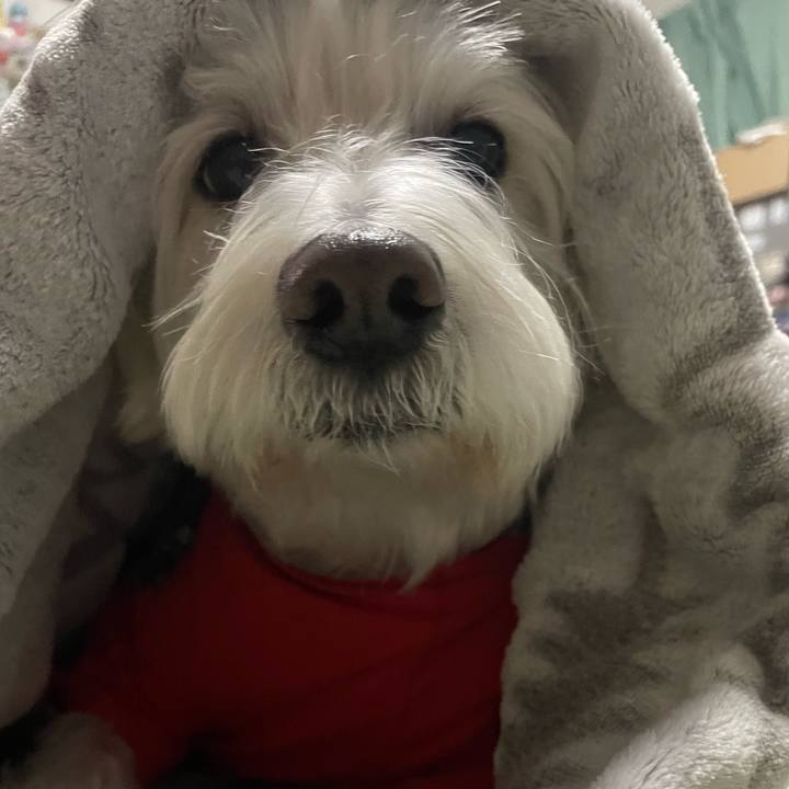 F4c89cc9 5684 4d7e 8e0f d4d73e5adf31 1734277198794