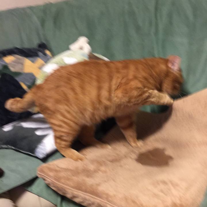 F4c8c713 4d0c 4c9f 9710 14a7a6f66fbc 1524042127232