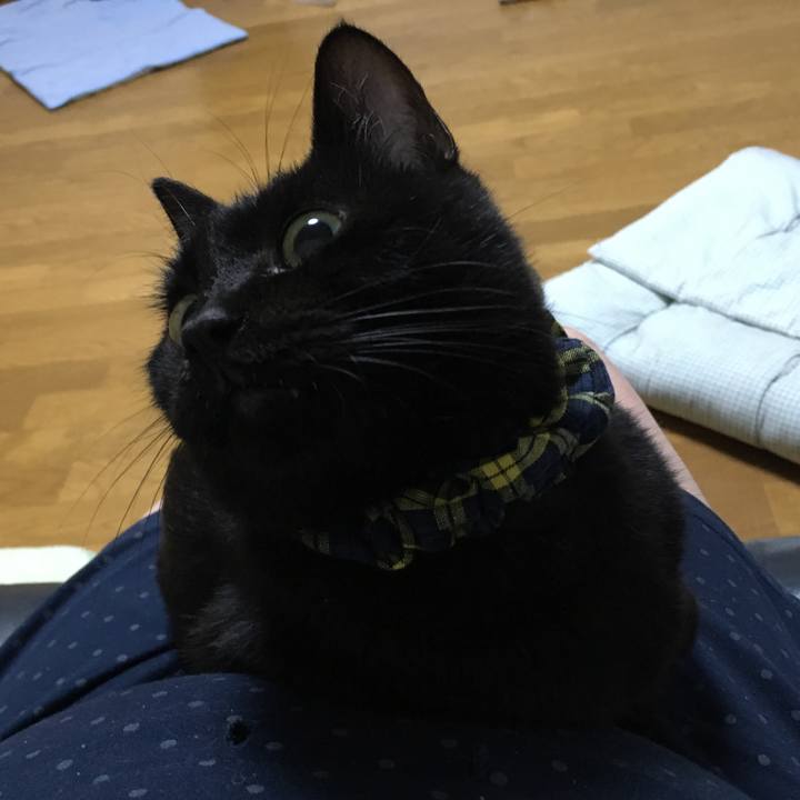 F4c8ceba 61f3 4bcf 8779 b3fa09529037 1534419732176