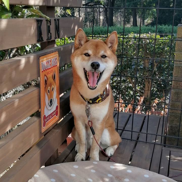 F4c8d37f e074 4c68 824b e1b0396940c6 1613816073190