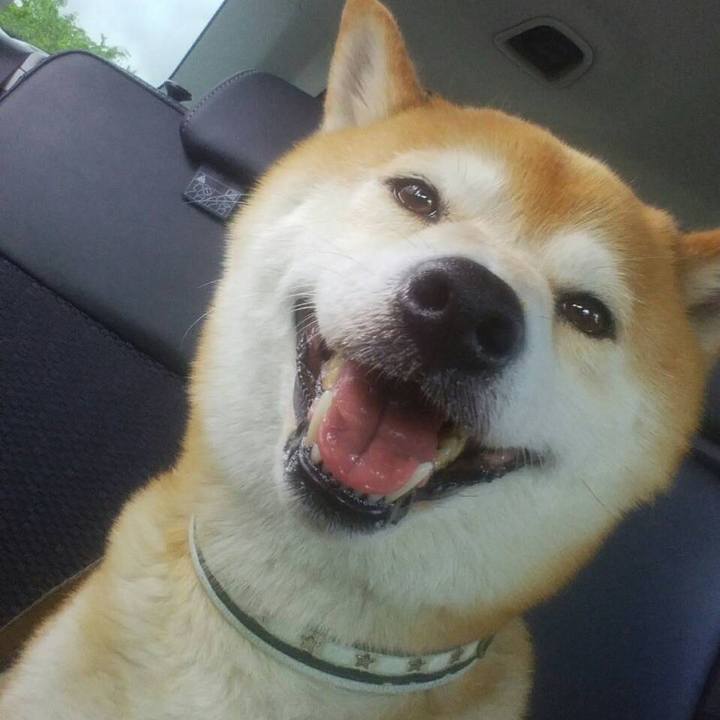 F4c8f314 20b5 4abe 986d 6e9afadebcb4 1525650893134