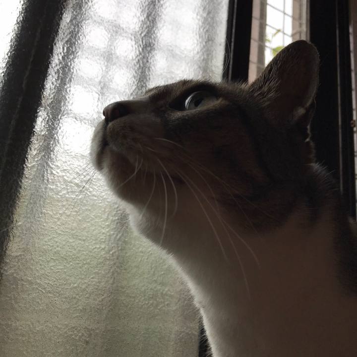 F4c918af 825f 41b6 85e3 244d9516c582 1530840702984