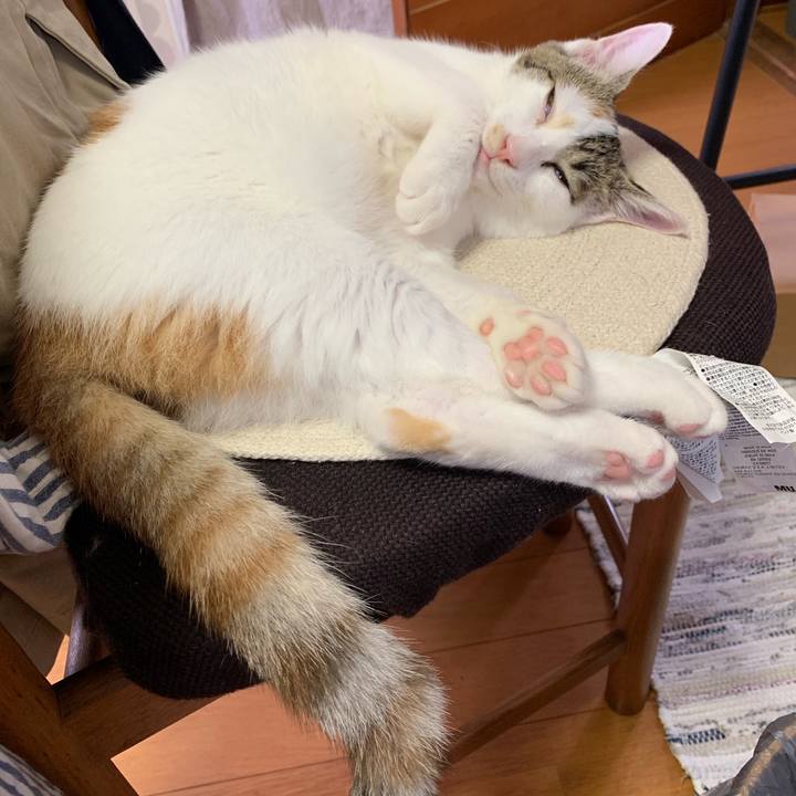 F4c91af0 91b5 461a 9e9d 8f52b1300388 1598581612991