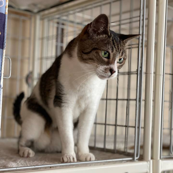 F4c9293a 87bb 4ca7 b268 582d884f5b80 1660358197225