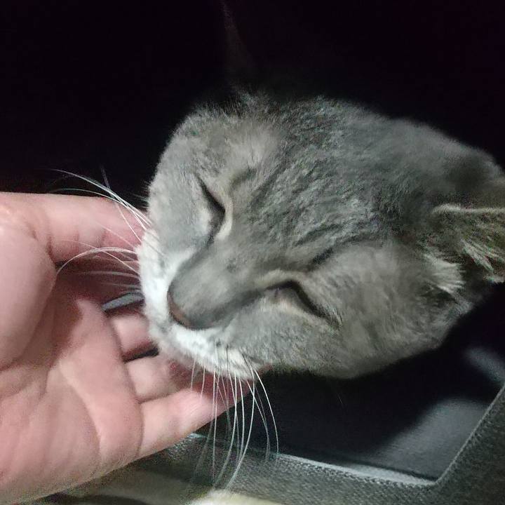 F4c94319 33e6 4a14 8fcb 5b64342b464f 1667993378280