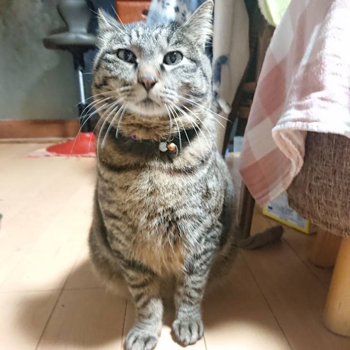 F4c98ce1 6bf7 4e42 877c b9f36dc611fb 1648328817208