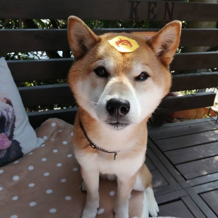 F4c9af81 48cb 478c 846d 3d199565ab02 1680057583687