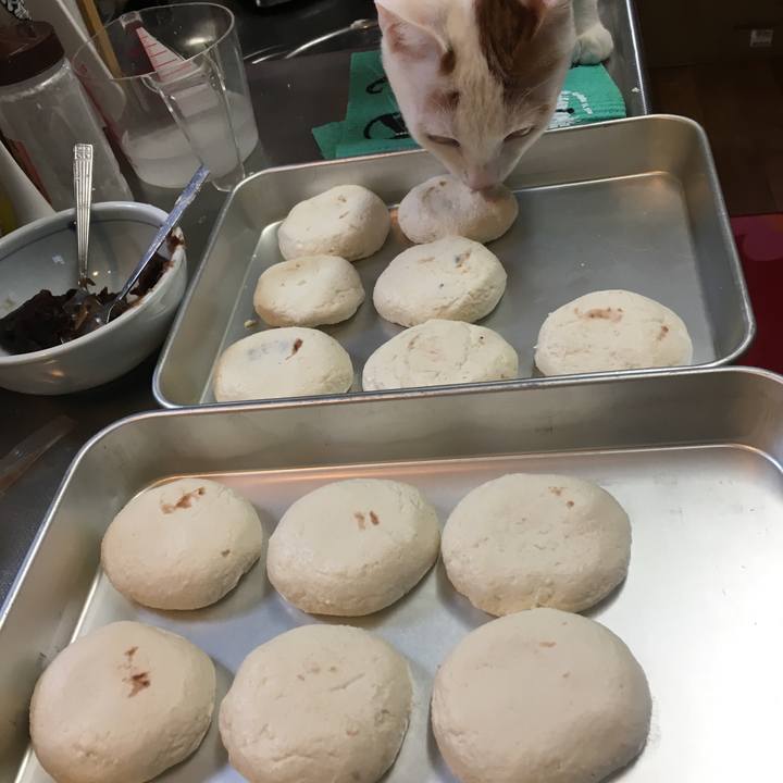 F4c9cbe6 0f33 46a5 b189 47178b69c031 1515824828425