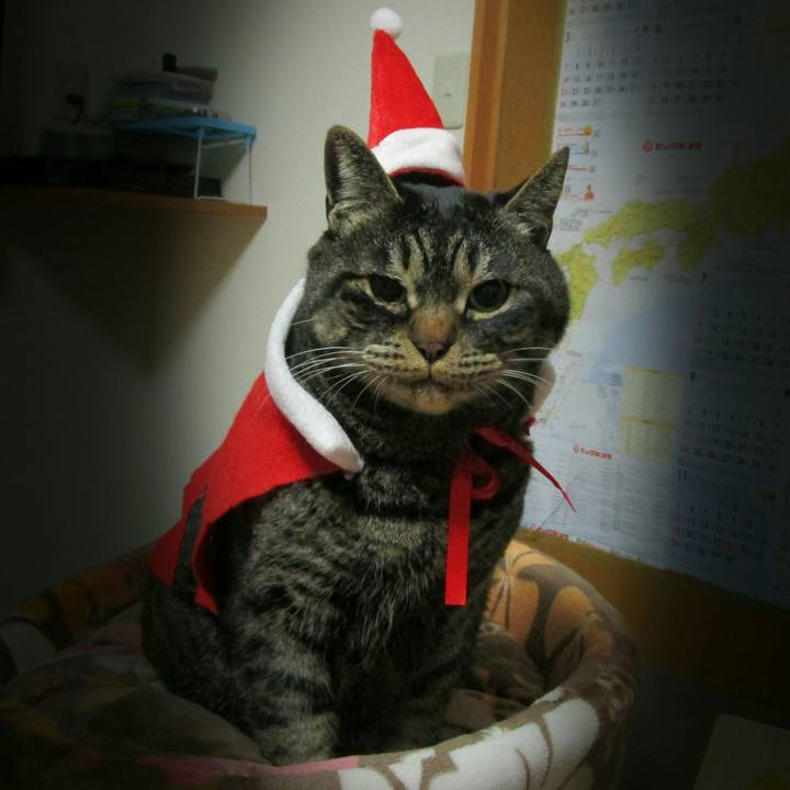 F4c9eeac 24dd 4ce7 ae24 72f9568b3f7a 1514124008798