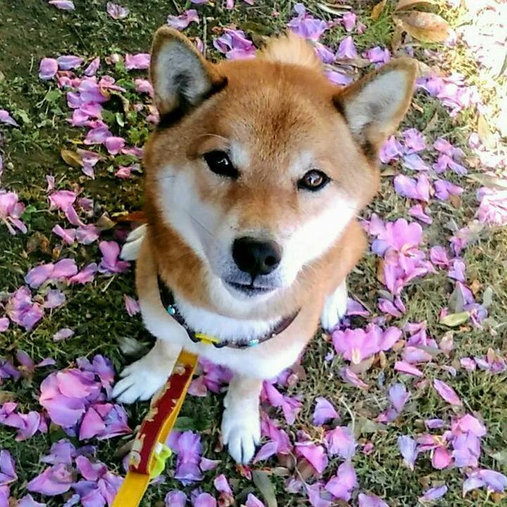 F4ca0997 b971 4620 8cb2 9a914b6d88e4 1574301242504