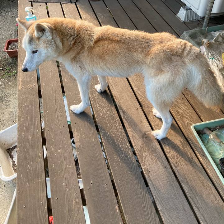 F4ca5a66 12d5 4945 9bb9 8f553ca9f813 1598185113046