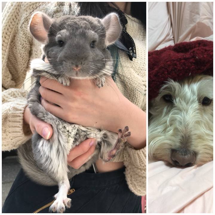 F4caace1 cf6a 46a8 8cca fd5d06e21c6b 1522735805841