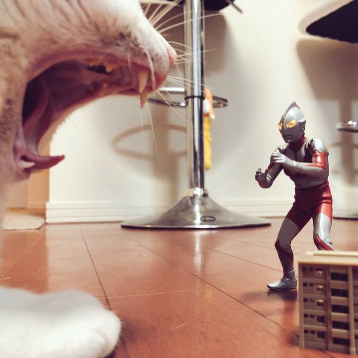 F4cab5d4 60aa 4609 a0d4 1ad45d52d3ba 1541499159115