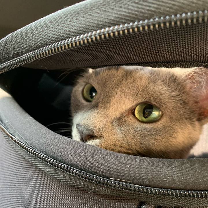 F4cac44a e368 40a6 b1c6 84a8b2eba296 1637460786029