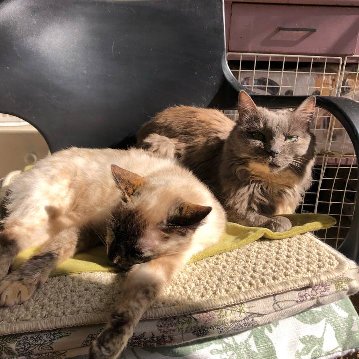 F4cae139 c9cd 419a 9f64 99282dc65615 1646528814782