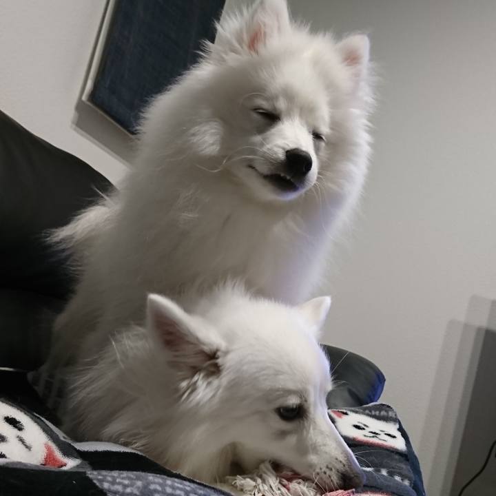 F4cafb47 70a8 444d bbc9 3e33d69409a6 1552824784067