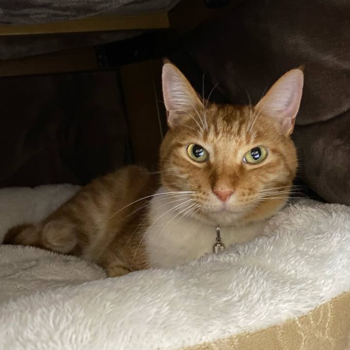 F4cb2533 c19f 4a68 86b5 9dd3b13d2c14 1673095129148