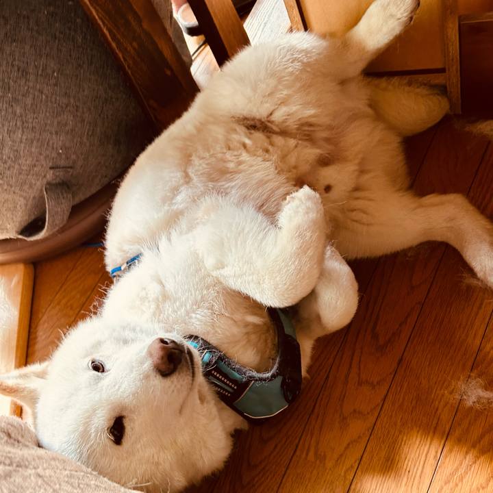 F4cb27a7 7f8d 4665 aa7e 0e1e5082251f 1684645923836