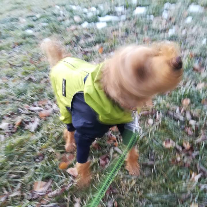 F4cb2dcf 2a63 4ecf b356 0ba630327d30 1574376228326