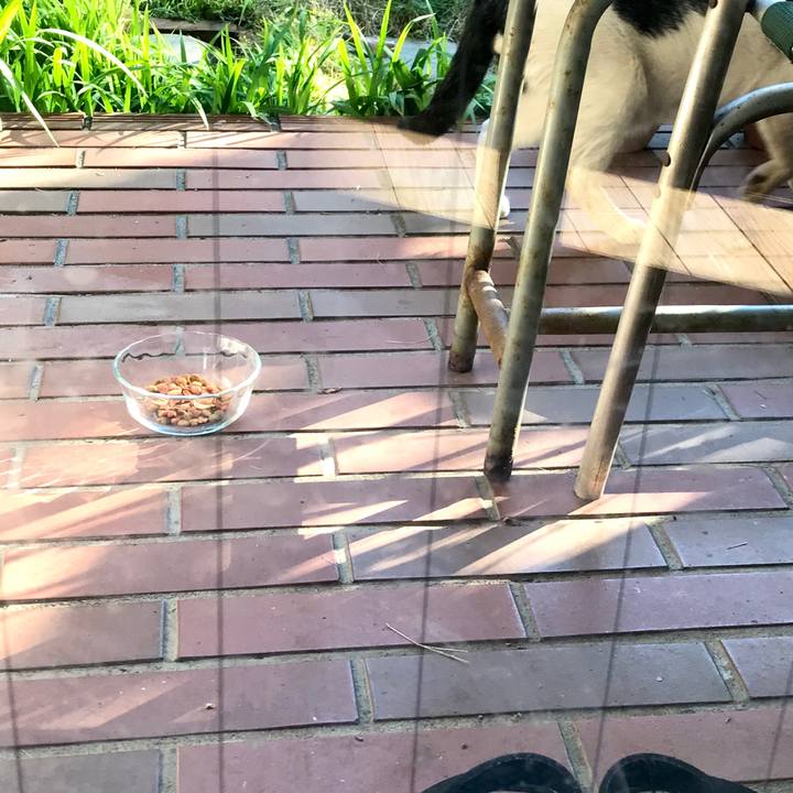 F4cb5f1f c7fa 4dc8 9af0 7dbdd57a8b80 1580656979582