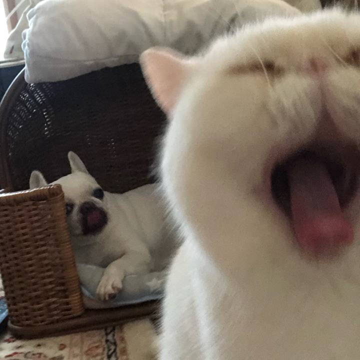 F4cb6670 d970 40ee b7ae d575ba34ff19 1661584737250