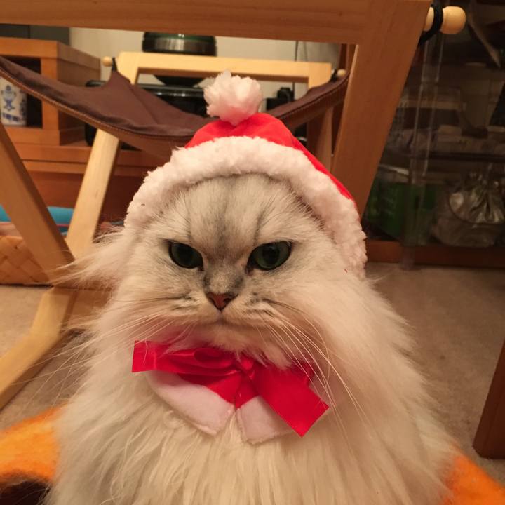 F4cb6794 4046 49c0 8694 649bfb50e5e9 1511077462754