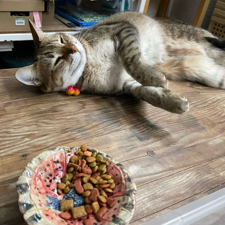 F4cb8cae 46fb 45c8 96e6 fcb1dff8e148 1733272585809