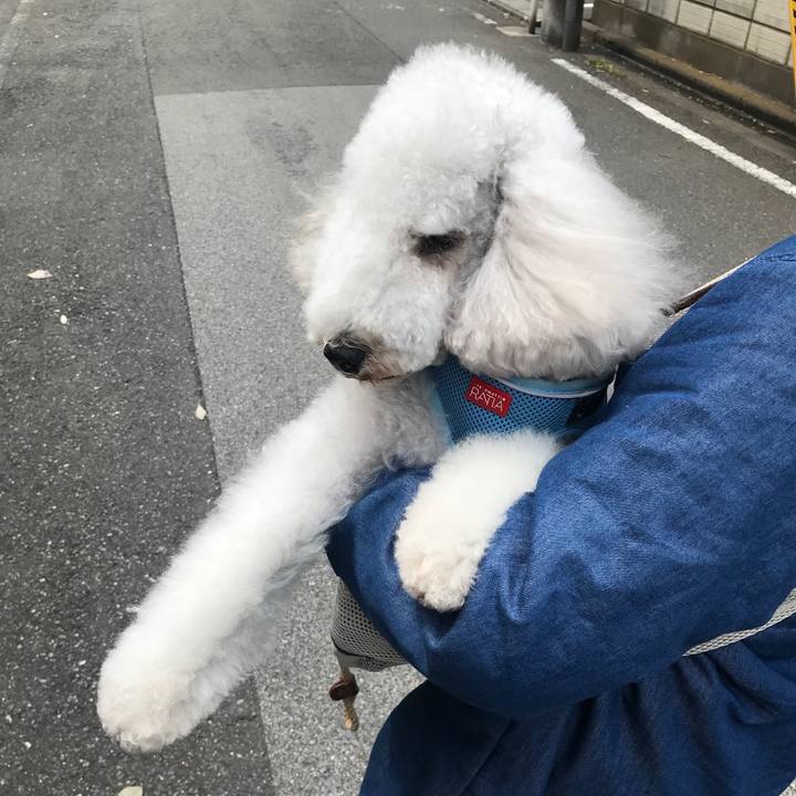 F4cbdf82 263e 4fa5 a527 4195769c8de3 1684038824318