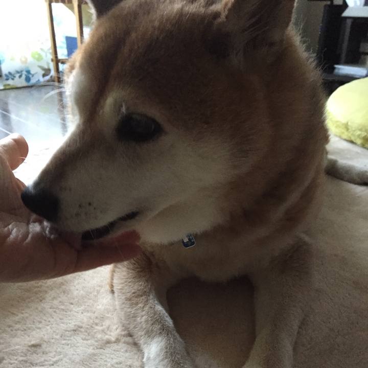 F4cbf963 20b3 4262 8a12 d09e4e8eeae8 1532079445889