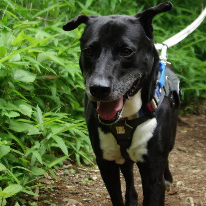 F4cbfec0 f587 4bf1 a100 87fc42361c73 1652314901220