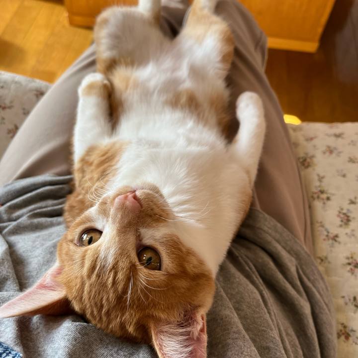 F4cc0801 174b 4c2e a670 0f3427d9b065 1667089821528