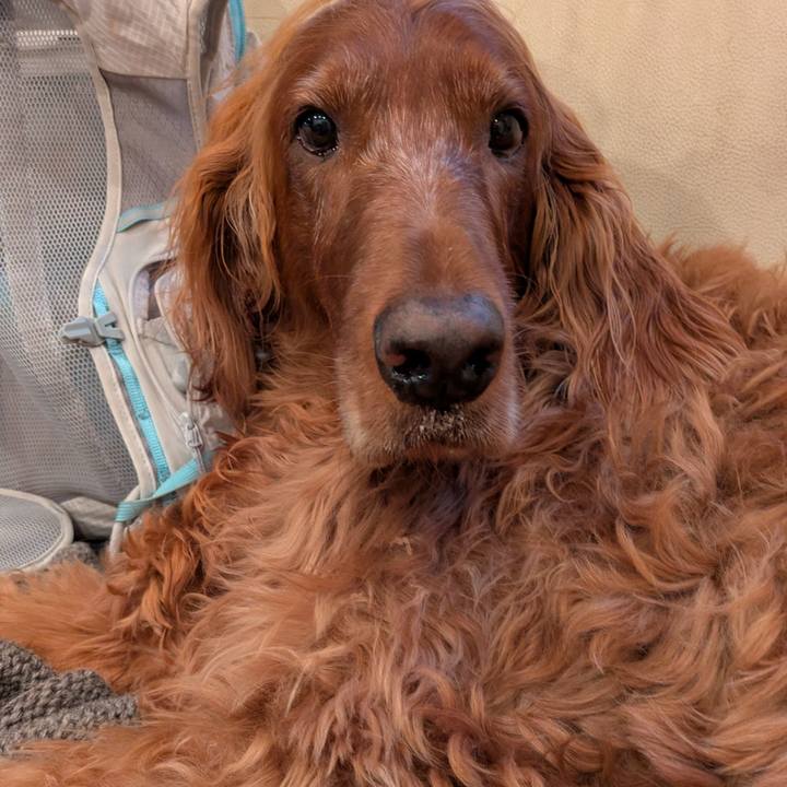 F4cc7893 b5b4 45bc a060 dc85043bedff 1765927051510