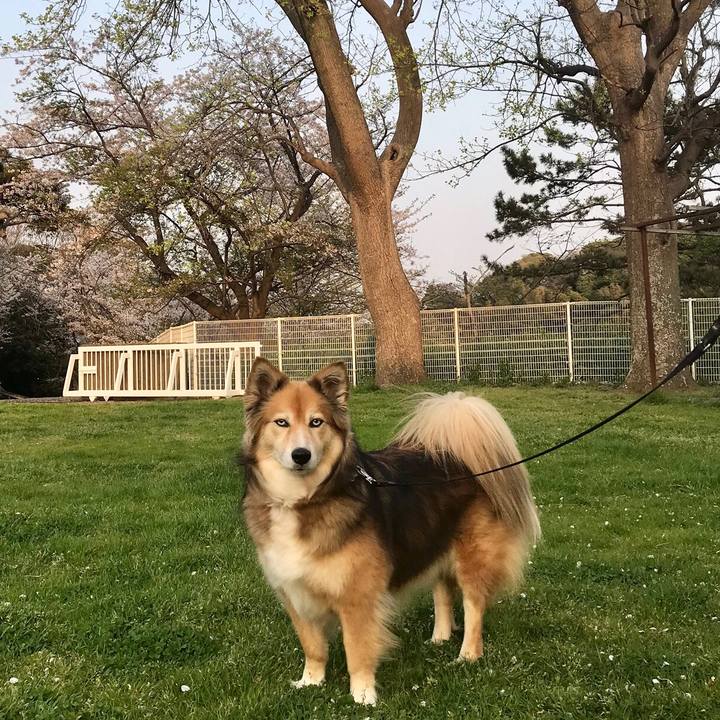 F4ccbb32 a0d3 45a9 bcb2 47f49dfe61b4 1554636893096