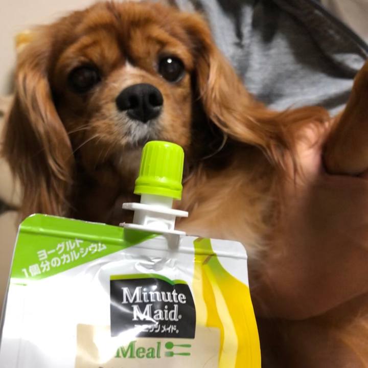 F4cd26f5 e7e5 4da7 a399 348dc1666511 1571834905561