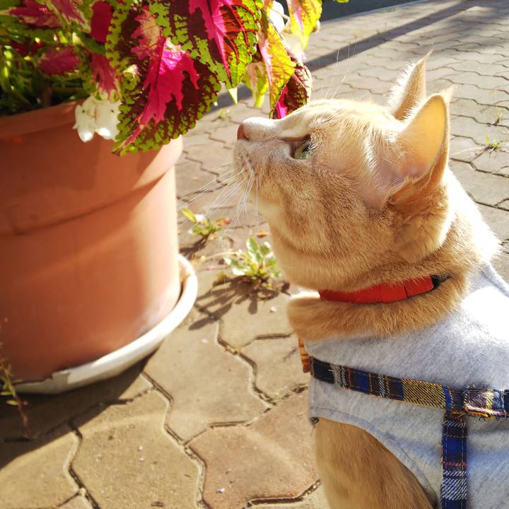 F4cd372f de49 467c b676 e6bd0729a3d7 1569882993340