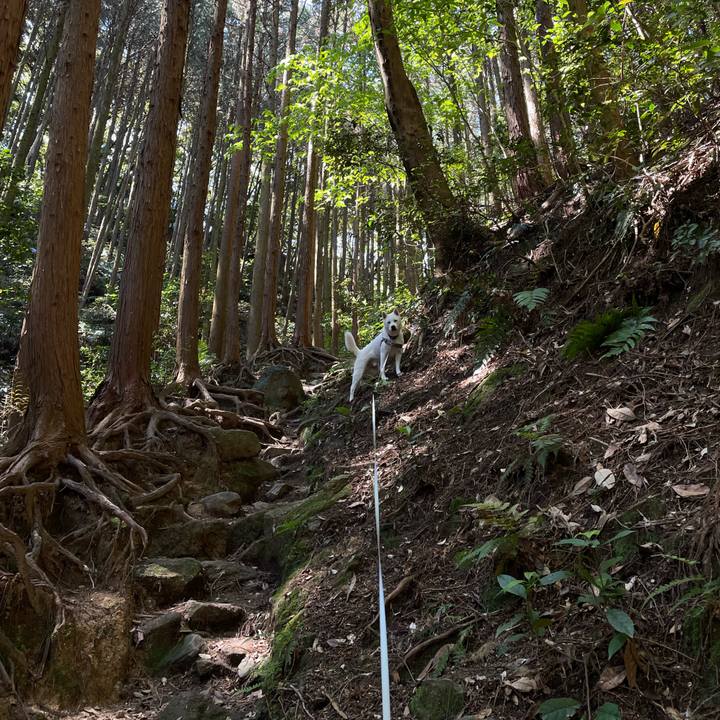 F4cd5213 fc7f 4958 b1d4 cacece20bc18 1651627485252