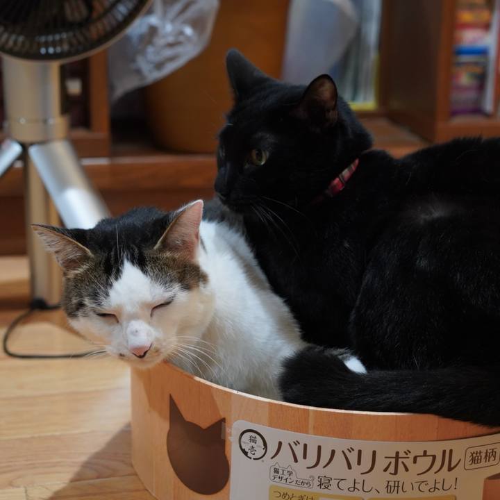 F4cd548a 3afd 4823 8cb1 cd9dc97325d0 1634915242615