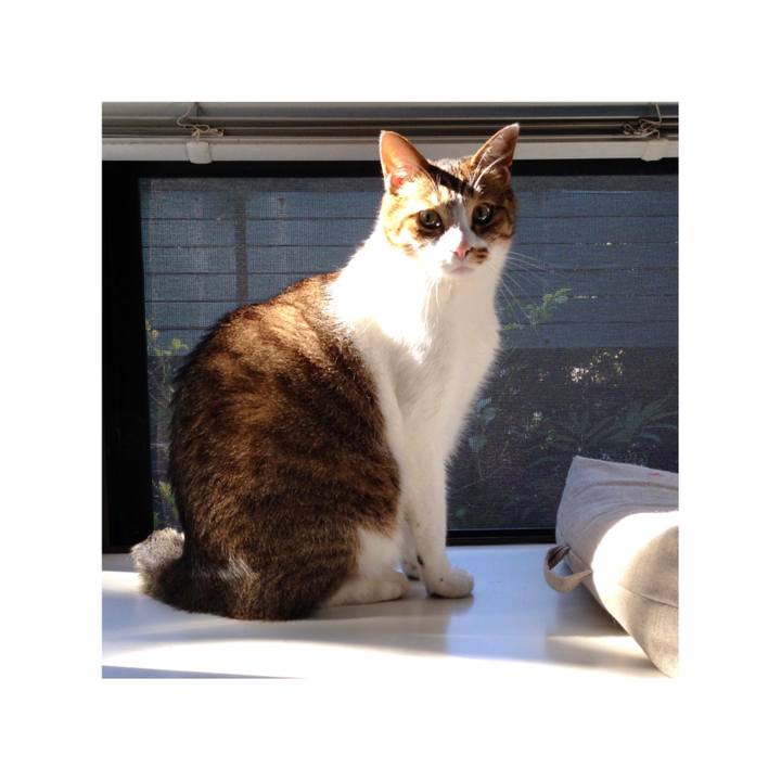 F4cd66d8 a59b 4760 ad4d 2509d5313e4f 1655722820417