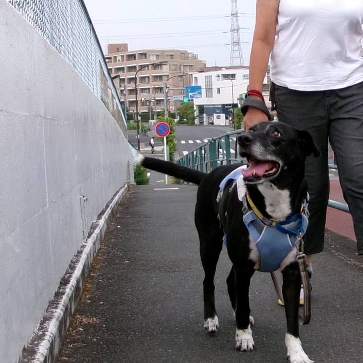 F4cd75a8 c8c5 46eb b71e d200448704de 1754437333116