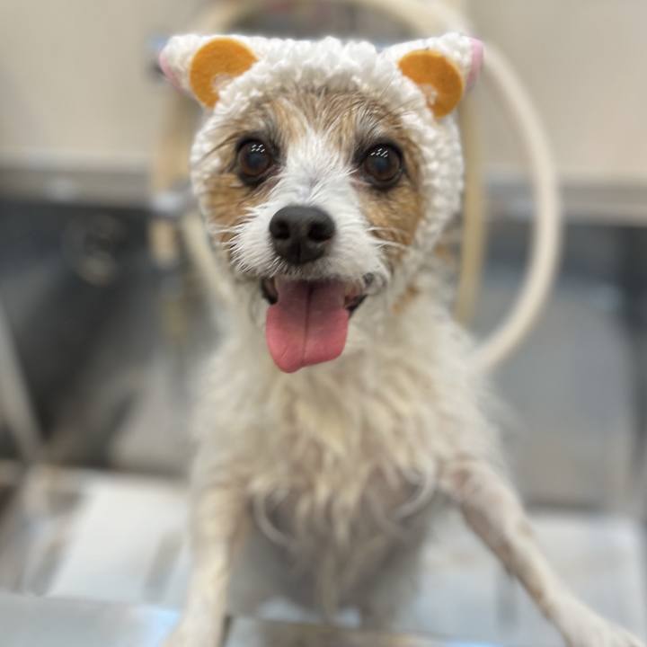 F4cdbfe0 b6e5 47fc af98 cebd1865c9e1 1762039153218