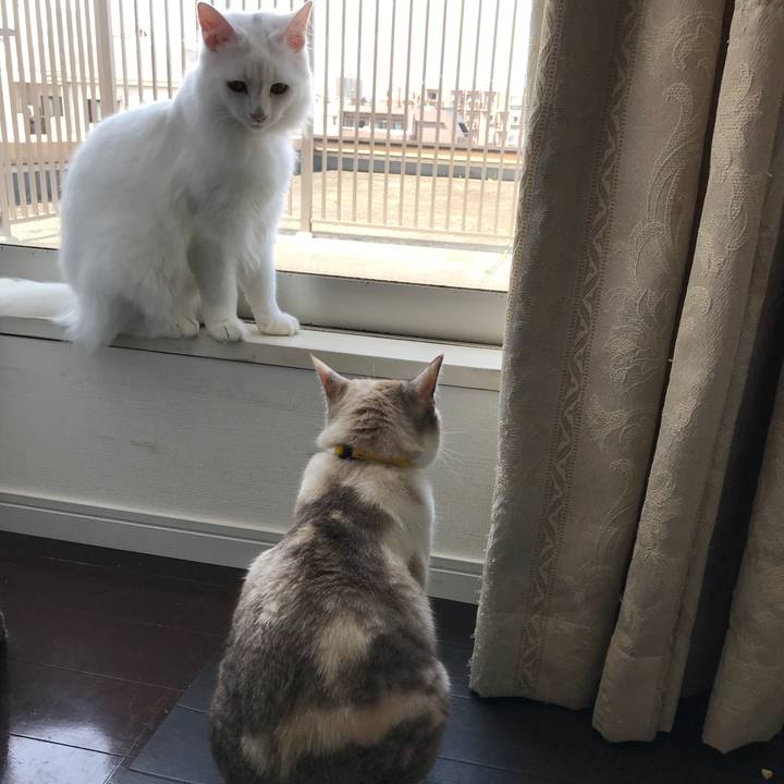 F4ce6859 4817 4f3c a728 5d6ede3bad9f 1522581122986