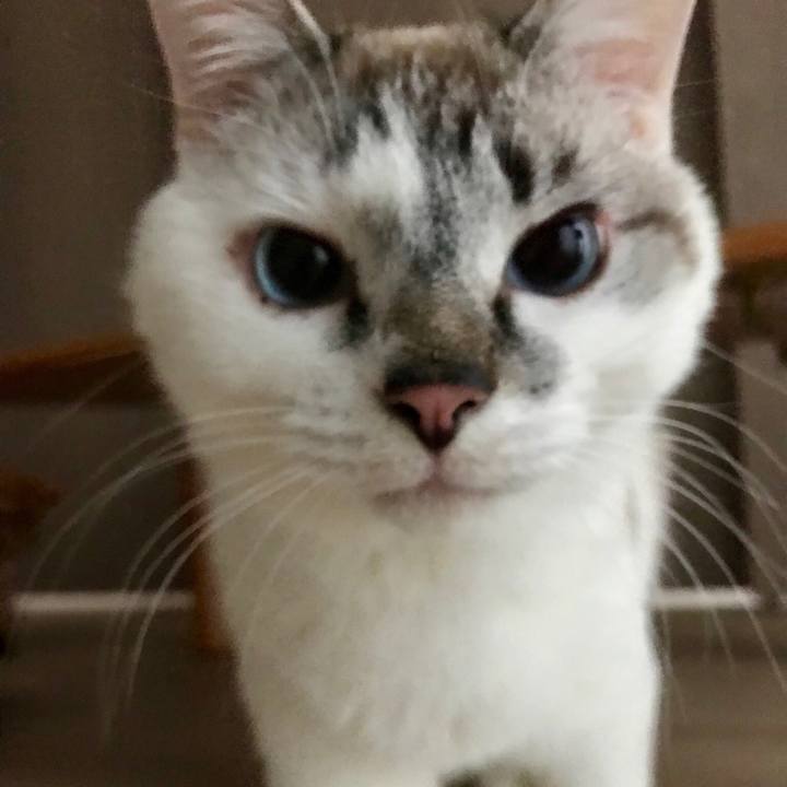 F4ce948b 1b31 4697 a4b9 56cfe9f10499 1520373701526