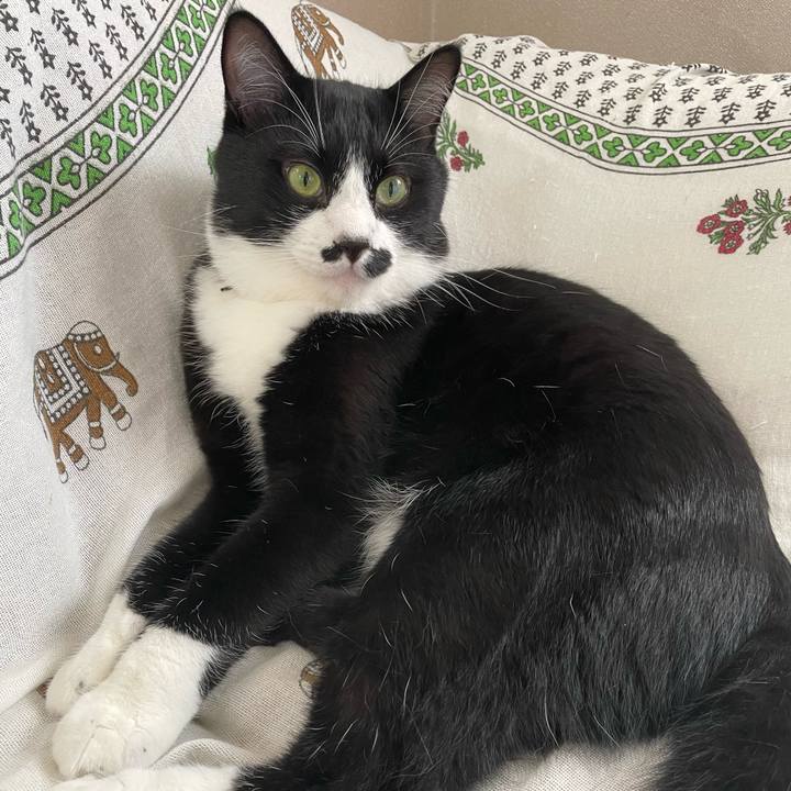 F4ce9762 9e0c 4569 b654 c6aa41f0eca0 1663280111822