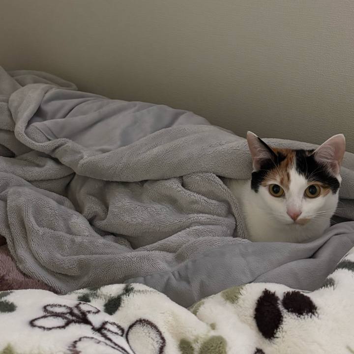 F4ce993a ae8a 4b01 92b7 7dcfe4950a8b 1773546156023