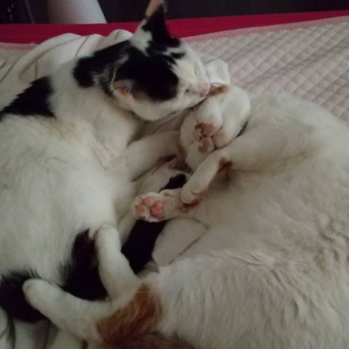 F4cea418 9d21 463f 8e79 6f6edd0344f8 1688709348482