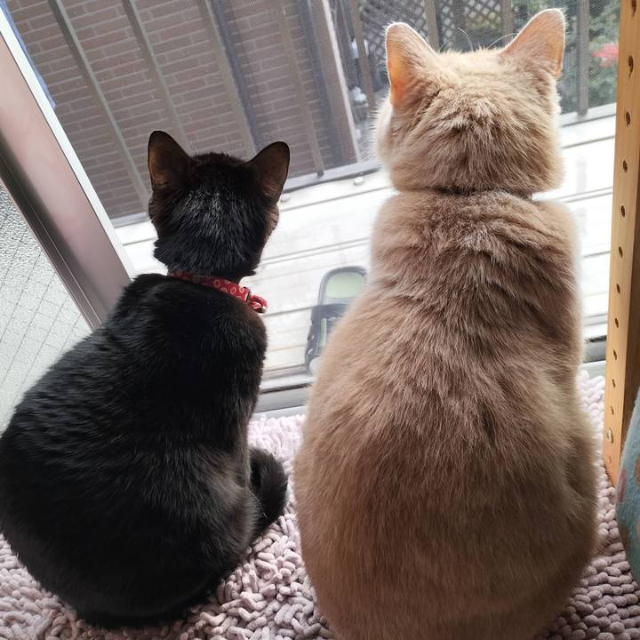 F4ceb80f 93be 40d9 b9be 5c200b33155a 1637623934709