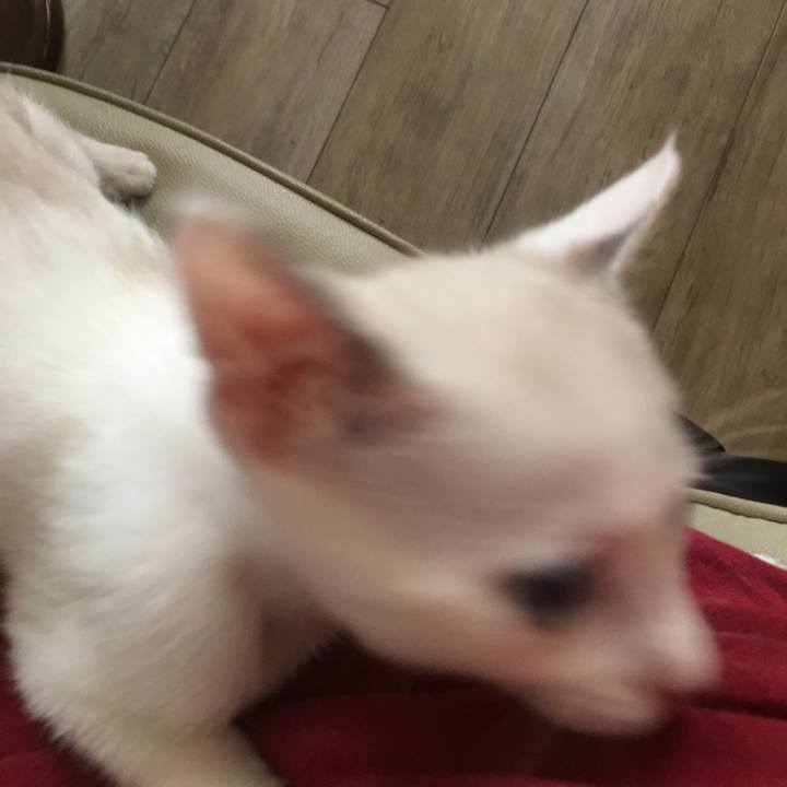 F4cec4b6 65b9 4553 93ef 4731079c9fa3 1531698449418