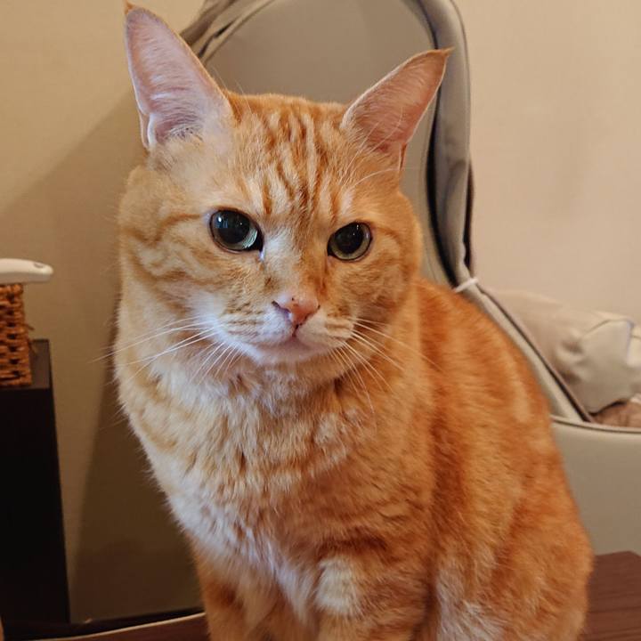 F4cef92f 77f2 4f28 9559 6d690c05a8d9 1537450874210