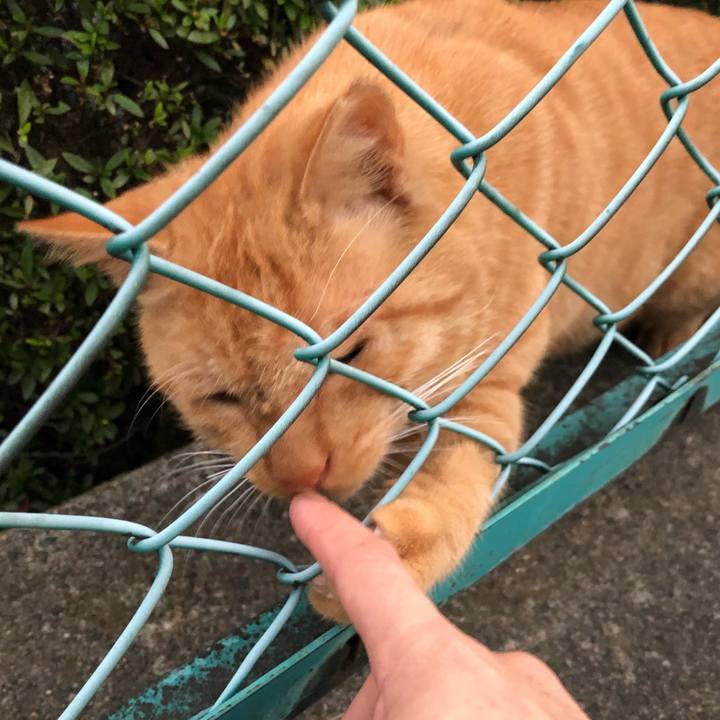 F4cefd59 cd17 4713 a97b 9f6307402459 1542891567169