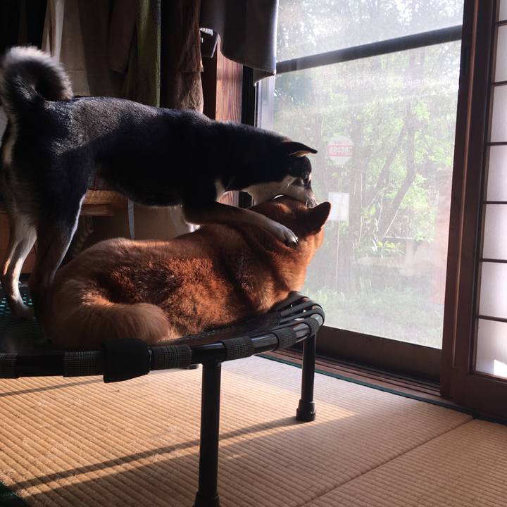 F4cf6037 22f3 4e62 bf21 6f4c90eb4d09 1619837762446